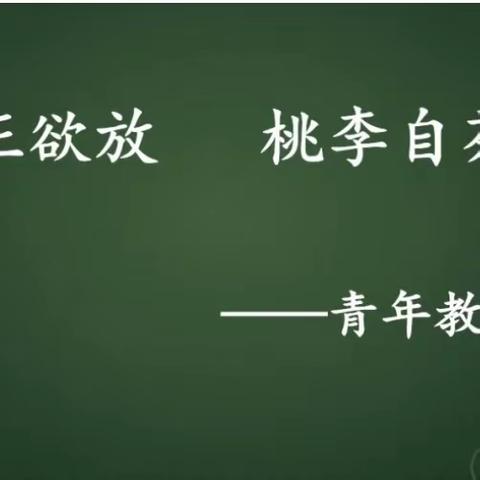 【通顺街回民小学】含苞正欲放 桃李自芬芳 ——通顺街回民小学“培青培优”系列活动之观课