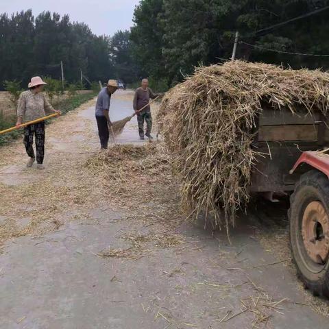 秸秆清运不松懈，人居环境净起来