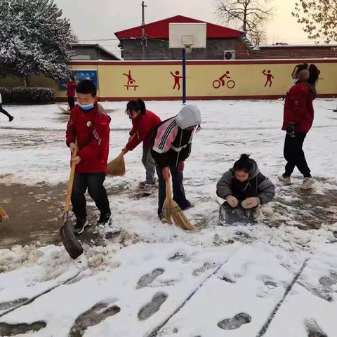 银装裹校园，齐心铲冰雪——-西曲堤小学扫雪纪实