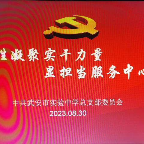 强党性凝聚实干力量，显担当服务中心大局||中共武安市实验中学党总支召开8月份主题党日活动