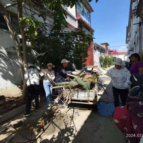 玉清湖街道小李庄村开展夏秋季爱国卫生运动