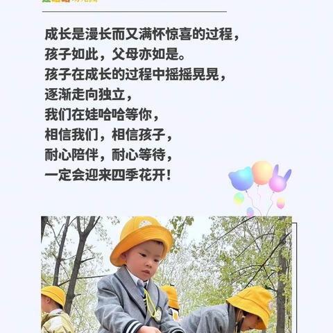 娃哈哈幼教🍀的简篇