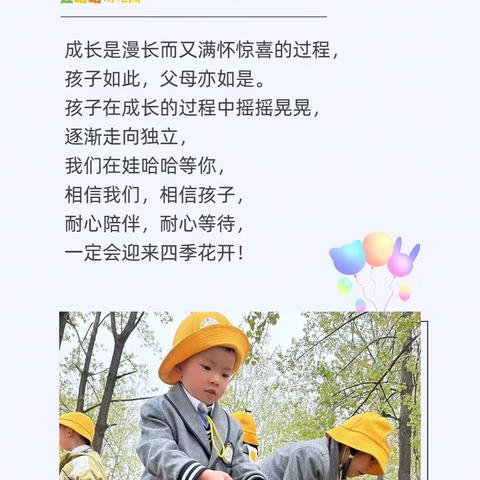 娃哈哈幼教🍀的简篇