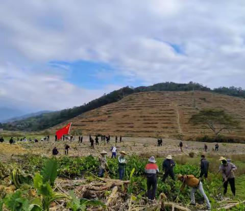 提蒙乡机关支部党员开展“两非”复耕种植活动