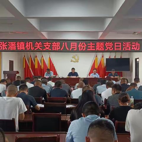 【张潘镇】张潘镇开展8月份主题党日活动