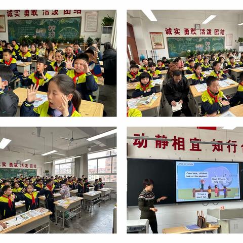 践行新课标，构建新课堂