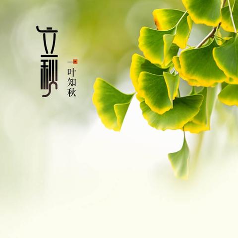 八年级第一次作文训练--捡秋（一）