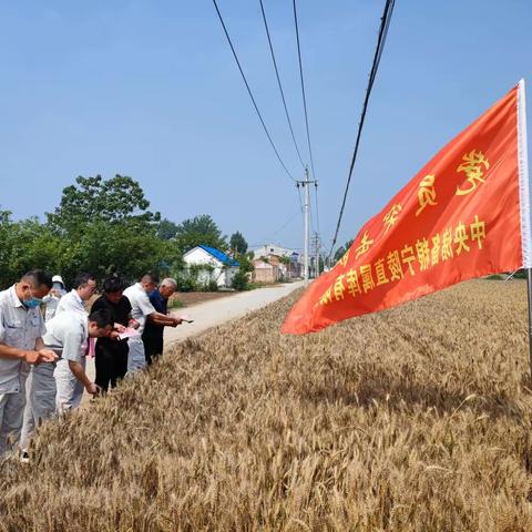 闻令而动 有令必行——宁陵直属库多措并举开展保粮减损宣传活动