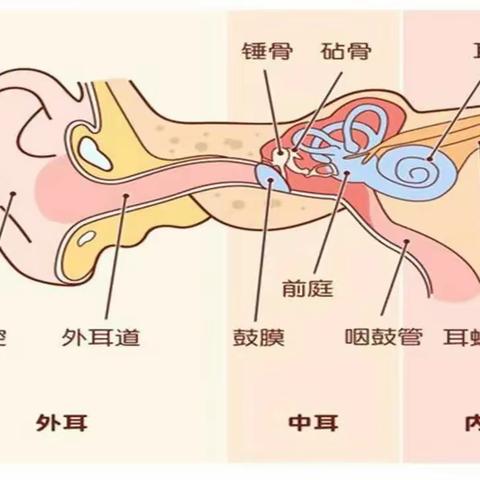 爱耳护耳 聆听世界——相公街道中心幼儿园（南旺分园）中二班班级活动