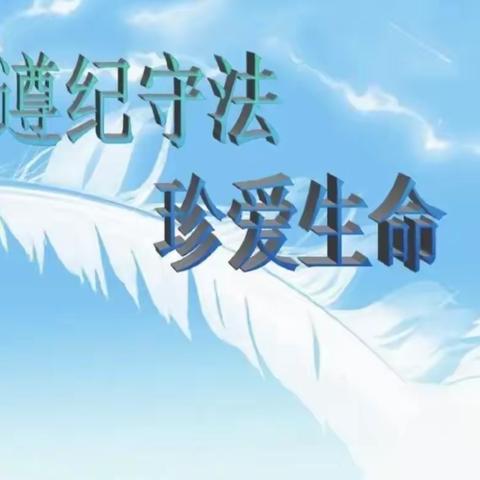 遵纪守法、珍爱生命——段家小学12·4全国法制宣传日活动纪实