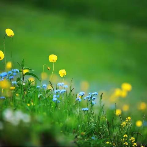 夏日炎炎，研研夏日 小埠岭中学开启科研新篇章