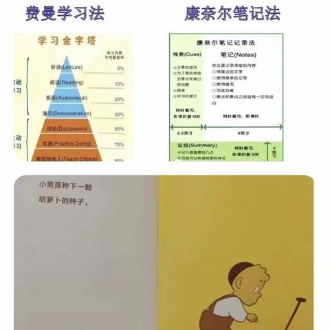 【厚德博爱|教师培训】童年阅读，奠定人生——京师幼教幼儿园教师图画书阅读教育培训活动纪实