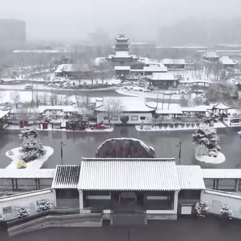 千城胜景丨河北藁城：雪后兴华公园 水墨画中游