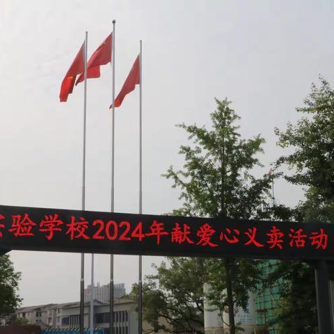 桃源县实验学校 红领巾爱心义卖活动