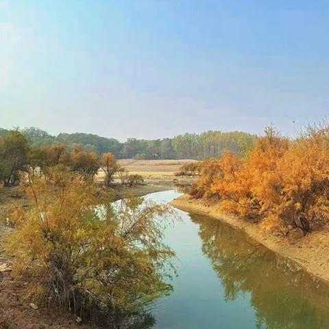 诗画北戴河·水韵绘秋色——北戴河区美术教师水彩写生专业技能提升研训活动之《戴河秋色》