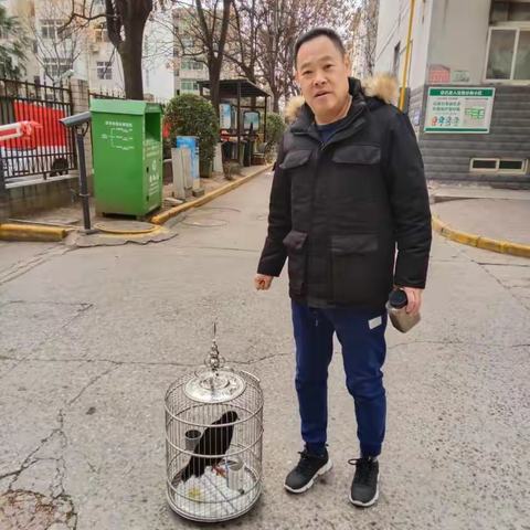 咸阳市秦都区林业站成功救助 并放生野生动物红嘴山鸦