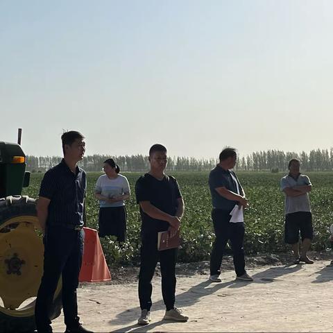 新湖农场一连脱叶剂现场会