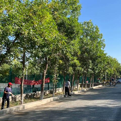 新湖农场一连开展人居环境整治