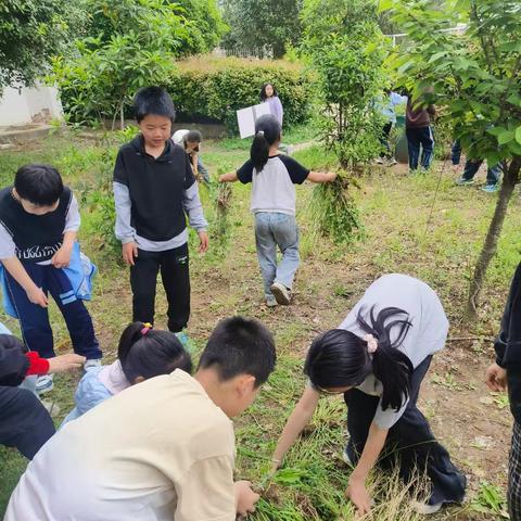 劳动赋能成长，实践点亮未来——小赵村小学劳动周