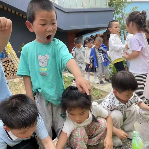 种植园地的稻草人——郭巷实验幼儿园彩虹分园小(2)班班本活动