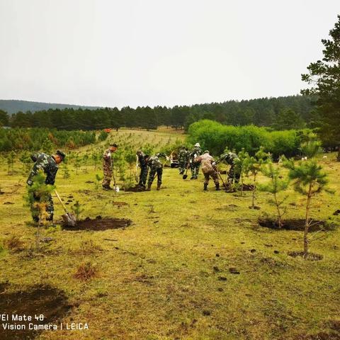 开展义务植树  建设绿色家园
