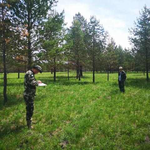 森林资源监测站开展森林病害补充调查工作