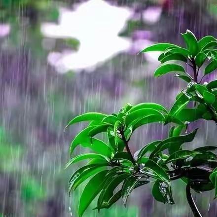 【华英博雅提醒您】雷雨下午就到！防雷暴，防溺水，放学、下班早回家