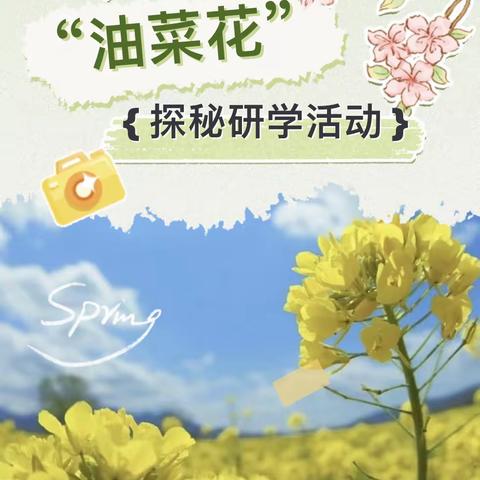 “醉美油菜花”赞善学校探索春天的秘密研学活动