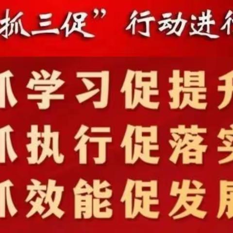 〔“三抓三促”行动进行时〕陇西县紫来九年制学校开展校外寄宿生安全专项“大家访，大排查”活动