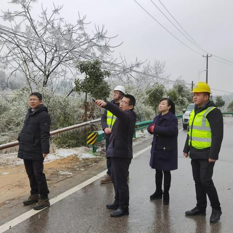 蕲春移动迎风战冻雨，全力做好网络通信保障