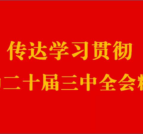 深学细悟重笃行、守正创新促发展——区委办传达学习贯彻党的二十届三中全会精神