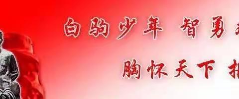 爱与智慧同行——海南白驹学校第二十一周全体班主任工作培训会