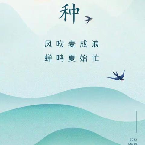 “芒种雨歇，夏之将至”——陶镇幼儿园小班芒种活动🌾