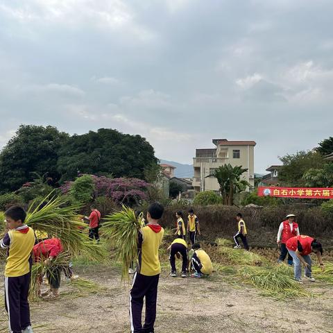 耕以传家承古韵，读而并举育新才--白石小学第六届丰收节圆满举行