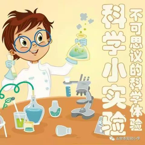 【科创课程】五常市实验小学一学年科学小实验纪实