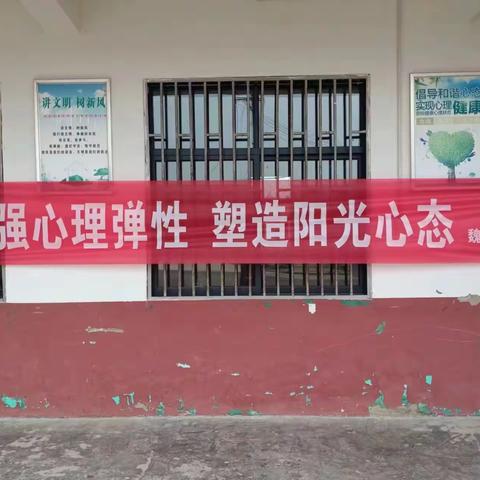 增强心理弹性，塑造阳光心态——魏庙学校开展“砀山县第五届心理健康教育活动月” 活动简报