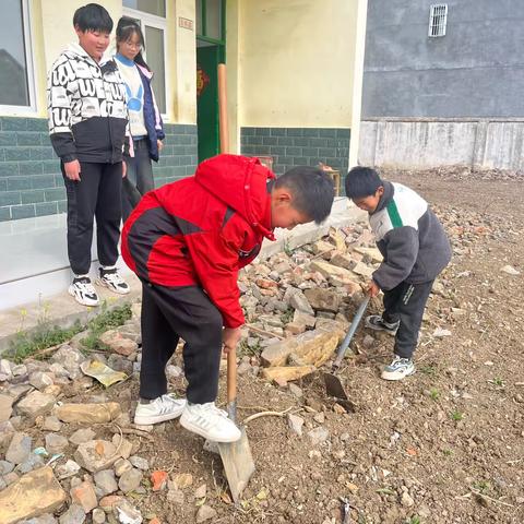 种下希望，收获阳光——张湾小学五年级向日葵种植活动