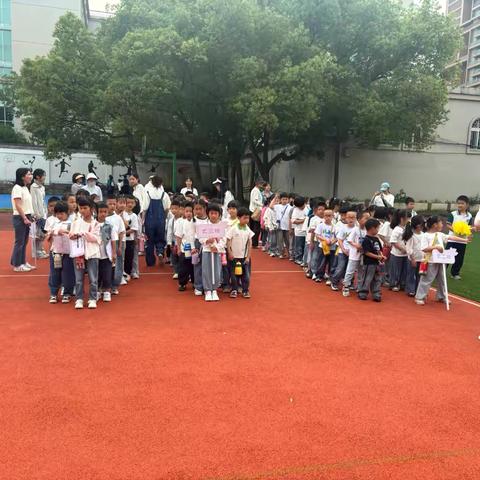 幼小科学衔接，共话教育之美 ——莲都区人民路小学开展幼小衔接活动