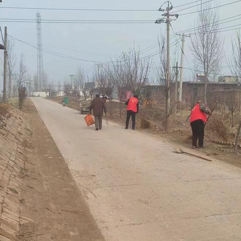 [环境整治在行动]美丽王庄🏅