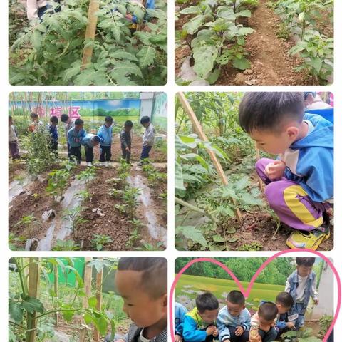 【高新教育】博雅幼儿园中一班——“爱♥️与美好同在”