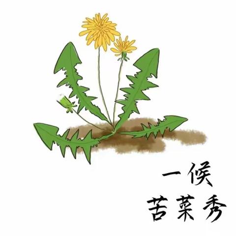 最好人生是小满 花未全开月未圆——河头幼儿园小满主题活动