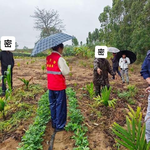 大田镇俄龙村网格联合调解土地纠纷