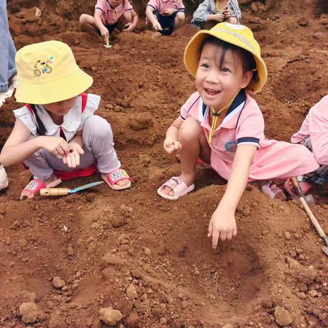 黄瓜“驾”到——大班黄瓜种植课程《播种的希望》