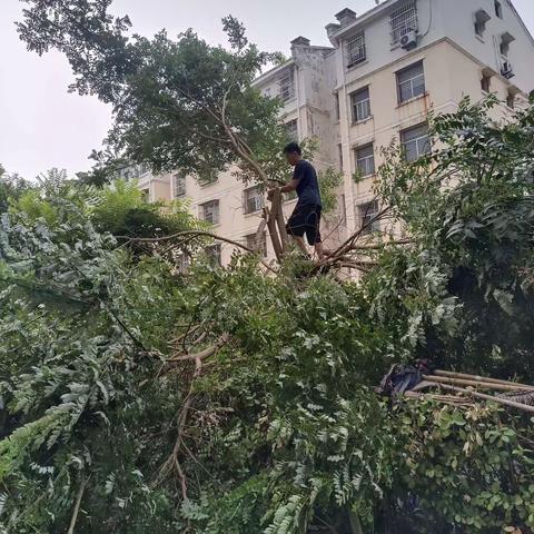 蓝山物业8月周报