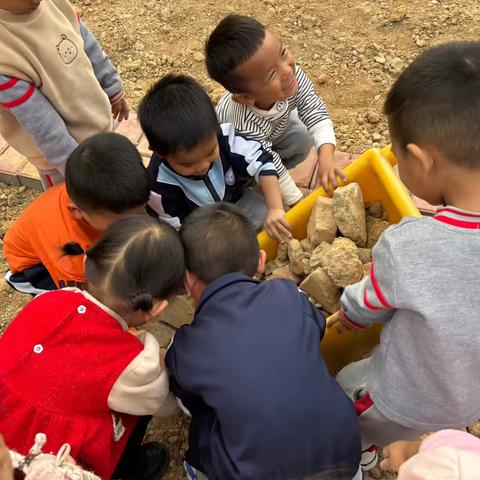 幼儿在菜地捡石头的欢乐时光