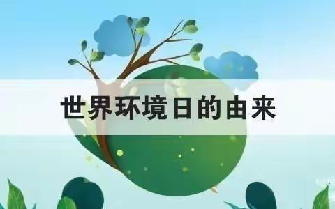 共建清洁美丽世界，守护文明绿色家园——二组宣