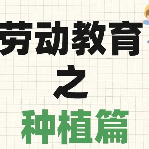 “劳动励心智 实践促成长”——观上高级小学劳动实践蔬菜种植篇