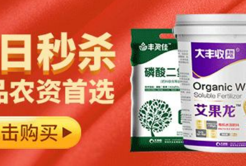 柑橘防寒抗冻的几大举措，你清楚吗?