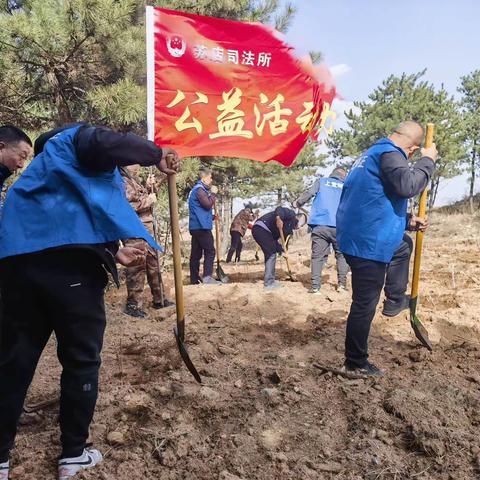 植此青绿，共“树”未来--上党区司法局苏店司法所组织社区矫正对象开展植树造林公益活动