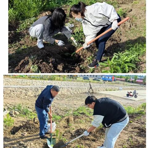 【河西街道】河西街道开展“情暖端午 构建各民族共有绿色家园”义务植树志愿活动